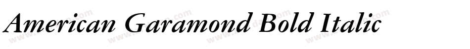 American Garamond Bold Italic BT字体转换